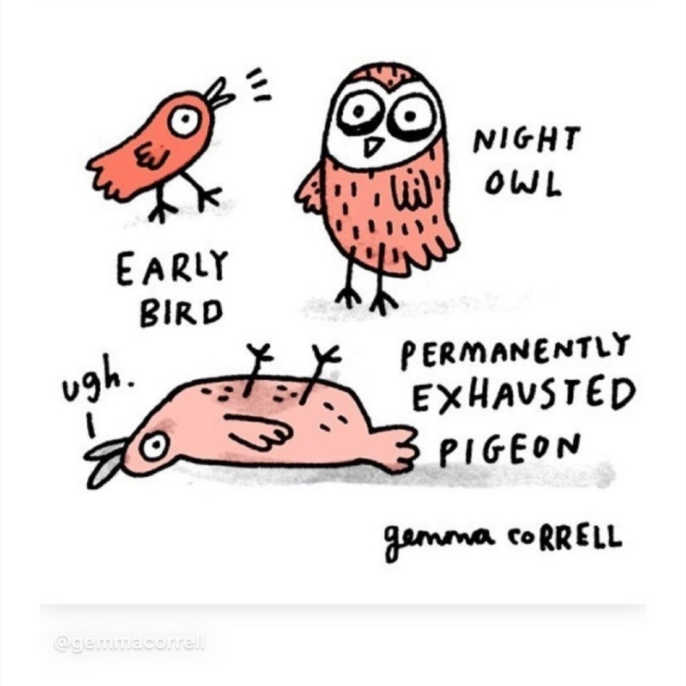 Meet your Posher, Zifan